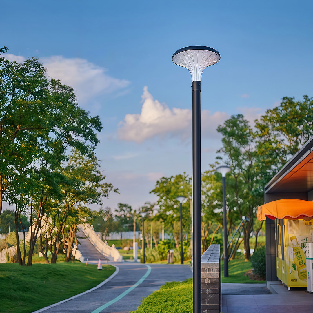 Solar & Hardwired LED High Pole Street Light – IP65 Waterproof Black Aluminum
