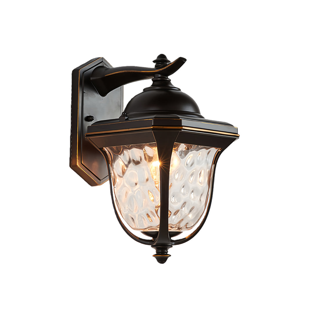 European Outdoor Wall Sconce with Clear Glass Shade in Coffee Finish
