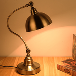 Sculptural Bronze Gooseneck Desk Lamp with Dimmable LED