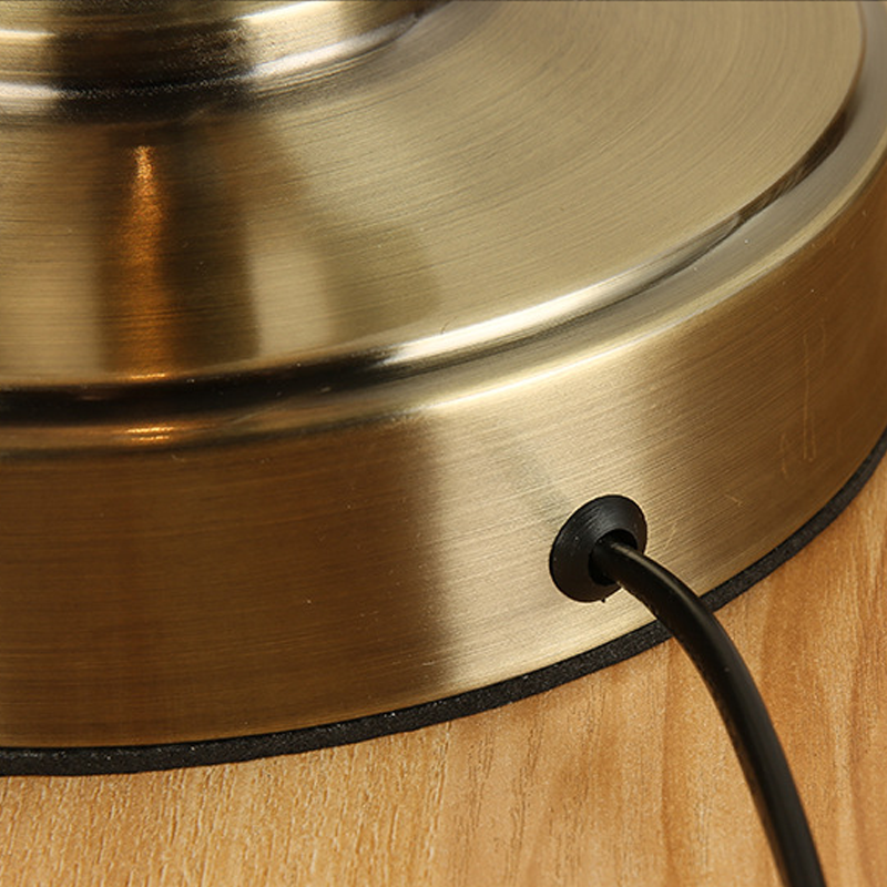Sculptural Bronze Gooseneck Desk Lamp with Dimmable LED