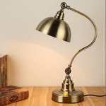 Sculptural Bronze Gooseneck Desk Lamp with Dimmable LED