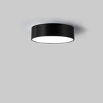 Lighting Ceiling Lights Flush Mount Lighting_3Bs6K