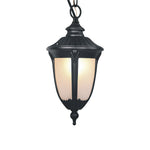 Black Aluminum Outdoor Pendant Light with Clear Glass Shade