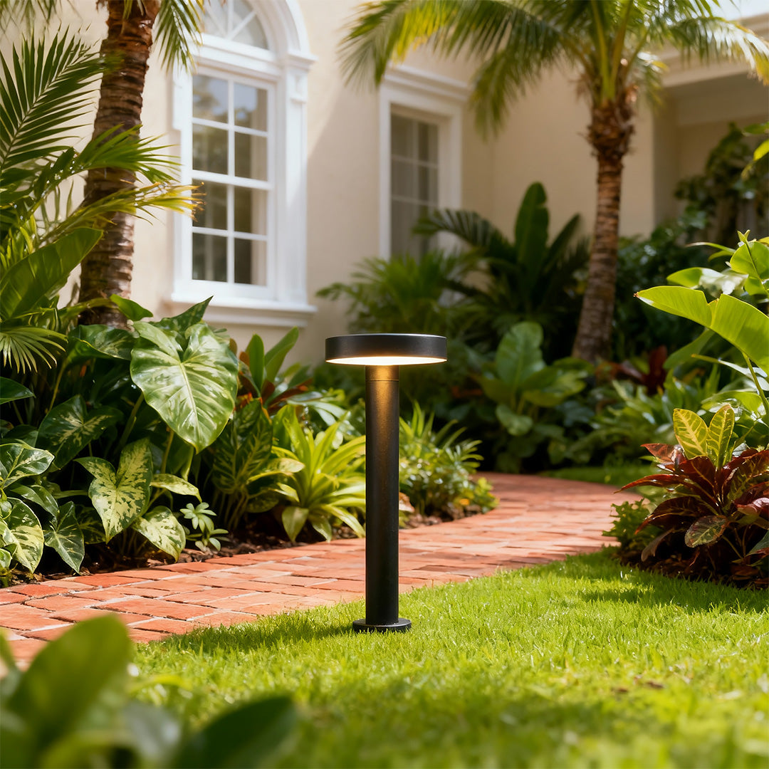 Modern Solar Path Lights Outdoor Waterproof Landscape Lighting