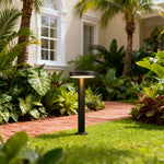 Modern Solar Path Lights Outdoor Waterproof Landscape Lighting