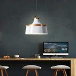 Lighting Ceiling Lights Pendant Lighting_3Tjl2