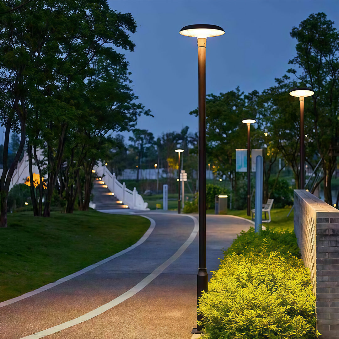 Architectural LED Street Light – Solar & Hardwired Outdoor Pole Lighting