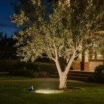 Modern Waterproof Tree Spotlights with Warm LED Glow