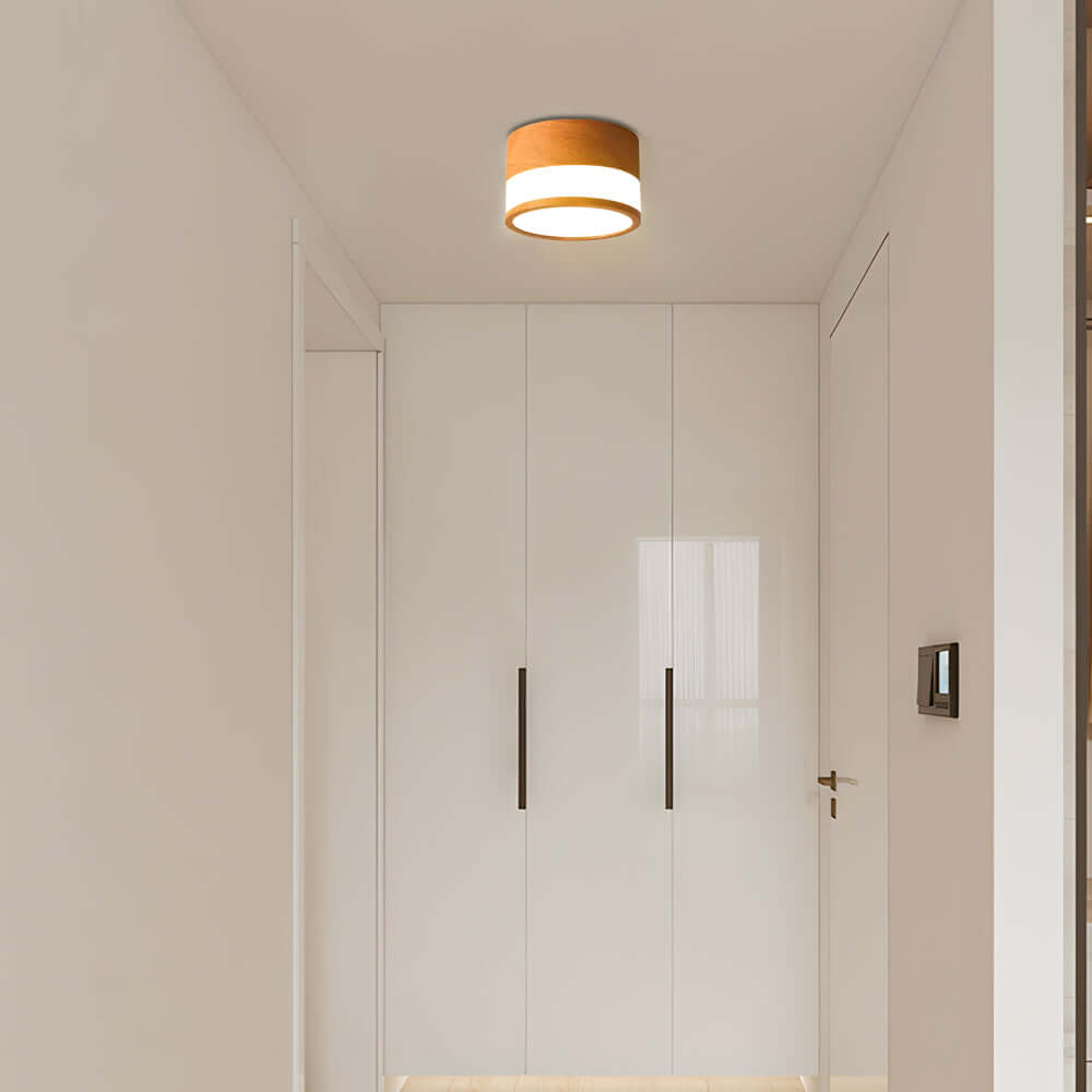 Modern Minimalist Round Flush Mount Ceiling Light with Acrylic Shade