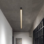 Minimalist LED Ceiling Light with Stepless Dimming and Remote Control