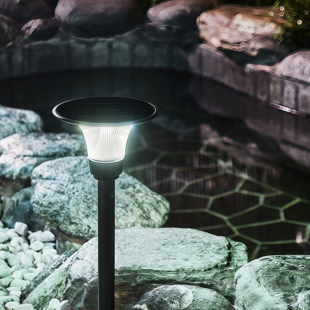 Black Solar Pathway Lights Outdoor Ground Socket Lamp