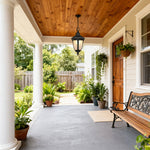 Black Aluminum Outdoor Pendant Light with Clear Glass Shade