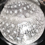 Lumina Jellyfish Pendant Light — Nordic Glass Ceiling Lamp for Modern Interiors
