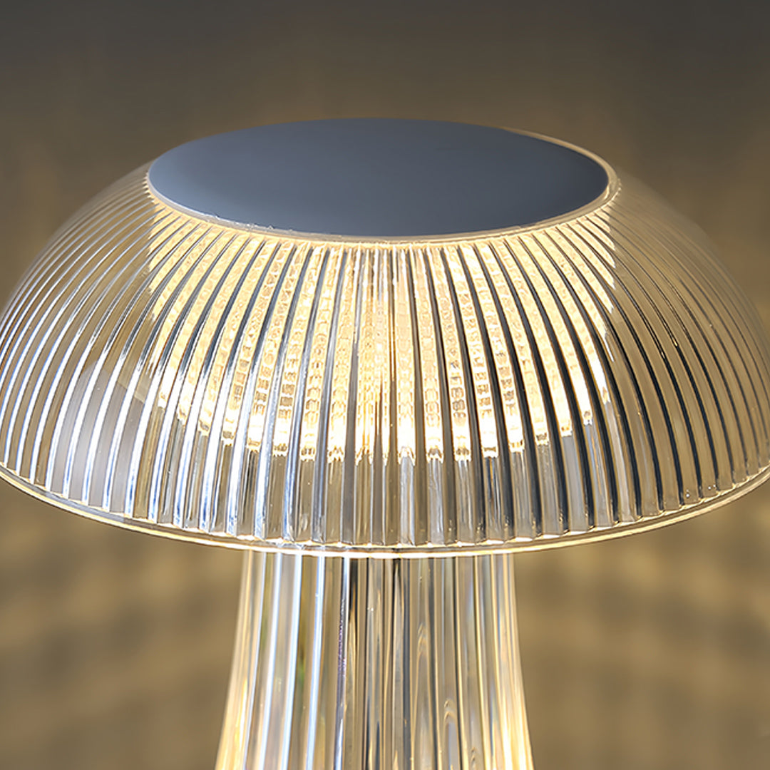 Lumina Clear Acrylic Portable Table Lamp with Touch Dimming