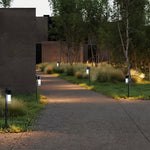 Modern LED Path Light with Clear Glass Shade for Garden Walkways