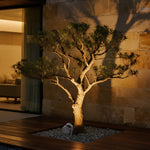 Architectural LED Landscape Spotlight, 3000K Warm White, IP65 Outdoor