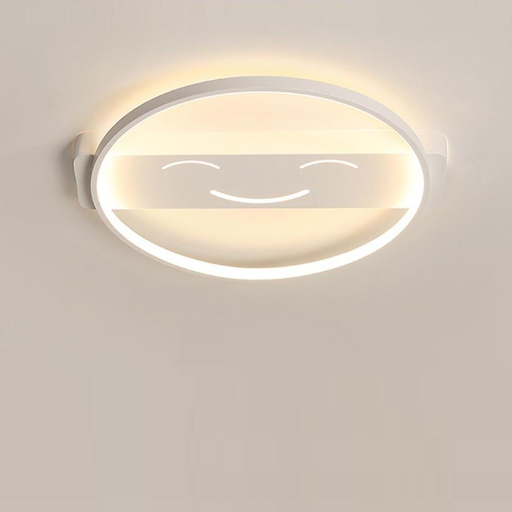 Lighting Ceiling Lights Flush Mount Lighting_4Dagt