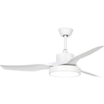 Lighting Ceiling Lights Ceiling Fans_4Huqc