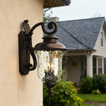 Chestnut Black Aluminum Outdoor Wall Sconce with Clear Glass Shade
