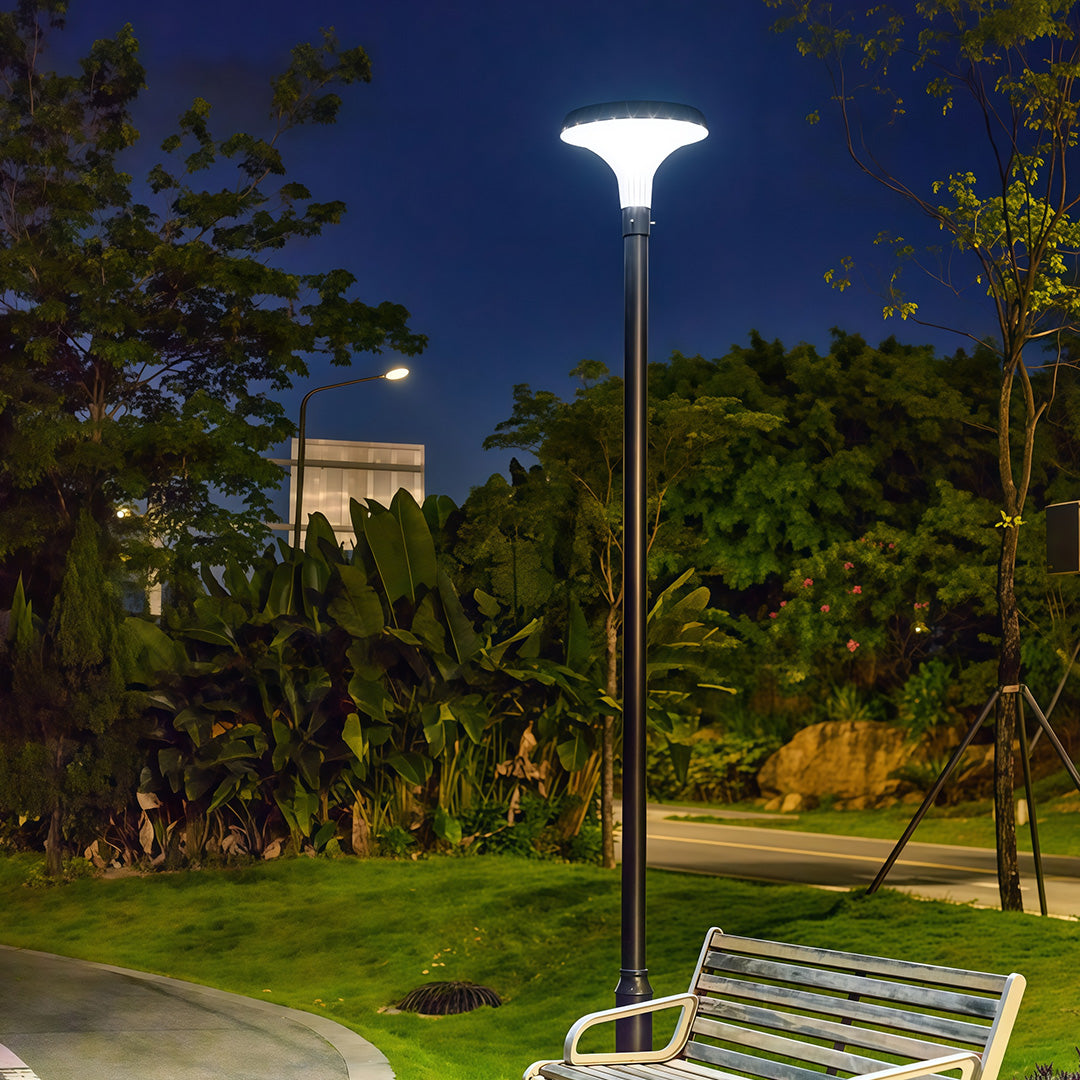 Solar & Hardwired LED High Pole Street Light – IP65 Waterproof Black Aluminum