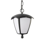 European Outdoor Landscape Lighting Fixture with Black Iron Frame