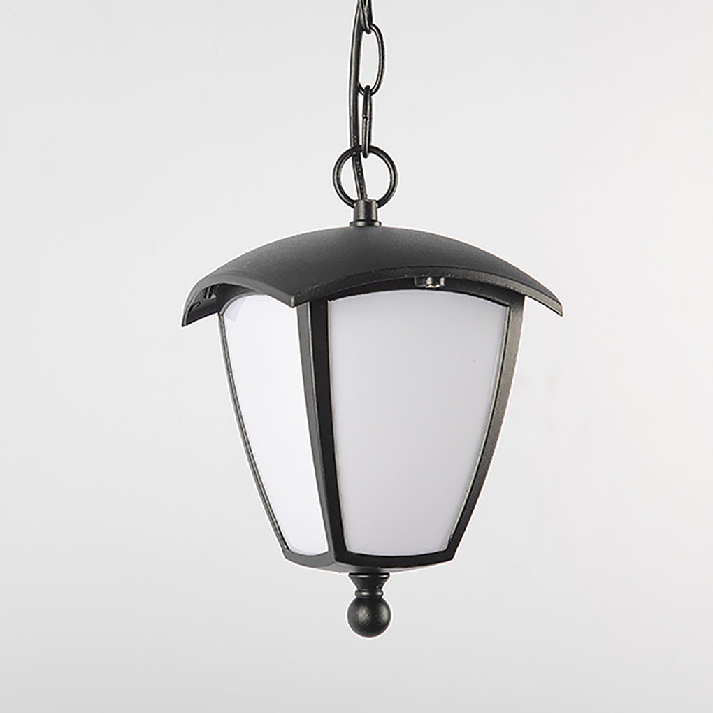 European Outdoor Landscape Lighting Fixture with Black Iron Frame