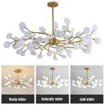 Firefly Satellite LED Pendant Light – Modern Chandelier for Living Spaces