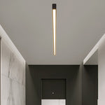 Minimalist LED Ceiling Light with Stepless Dimming and Remote Control