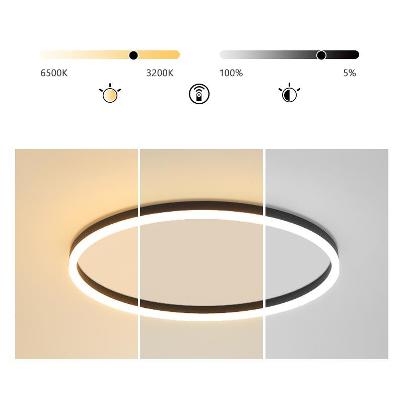 Modern Black Aluminum LED Flush Mount Ceiling Light with Dimmable Ring Design