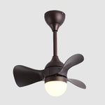 Lighting Ceiling Lights Ceiling Fans_4Rmck