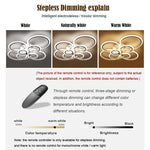 Lighting Ceiling Lights Flush Mount Lighting_54Vxp