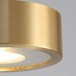 Aurelia Round LED Flush Mount Ceiling Light in Brass and Acrylic