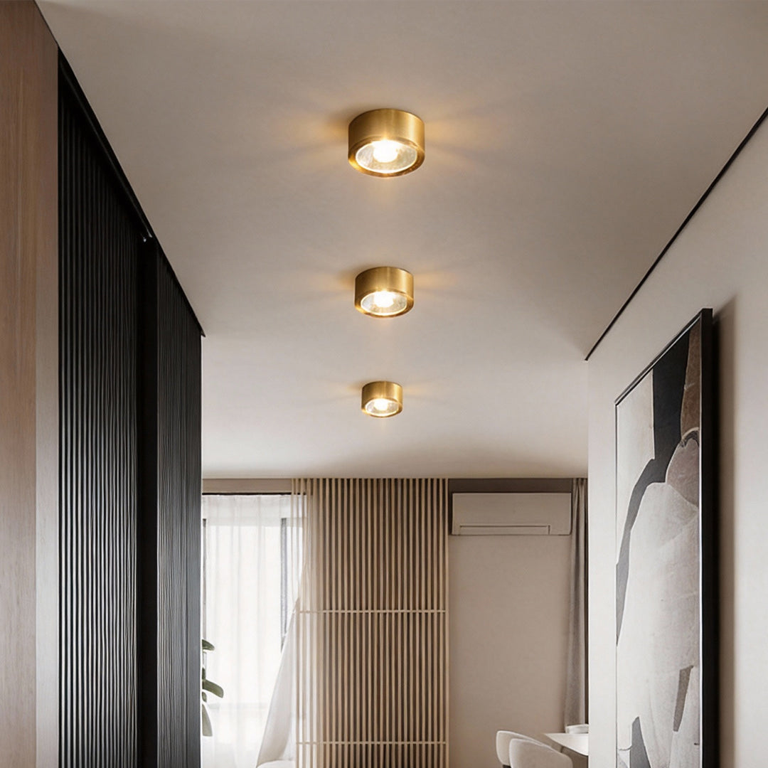 Aurelia Round LED Flush Mount Ceiling Light in Brass and Acrylic