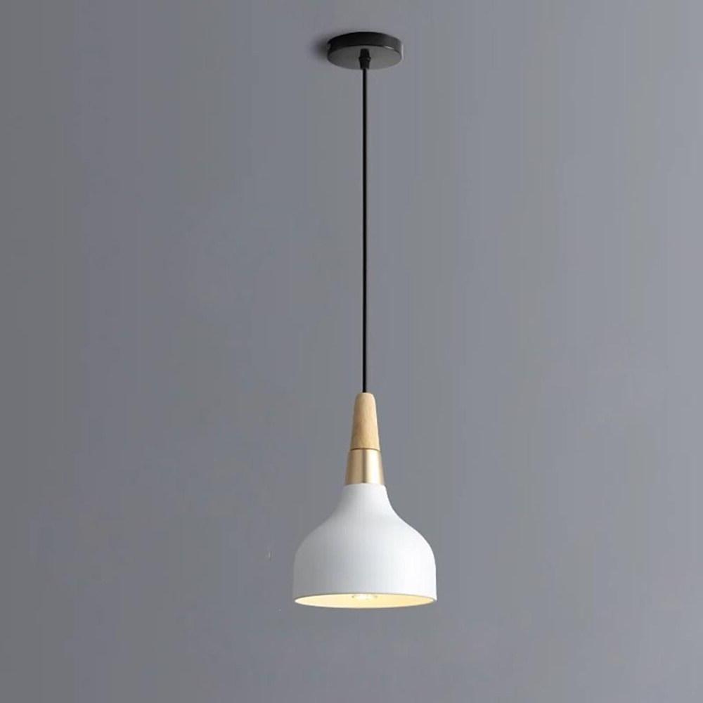 Lighting Ceiling Lights Pendant Lighting_4Pycn