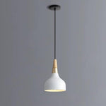 Lighting Ceiling Lights Pendant Lighting_4Pycn