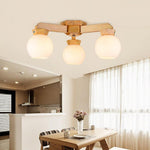 Lighting Ceiling Lights Pendant Lighting_4Z051