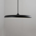Lighting Ceiling Lights Pendant Lighting_3Ycvt