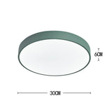 Lighting Ceiling Lights Flush Mount Lighting_3Xte8