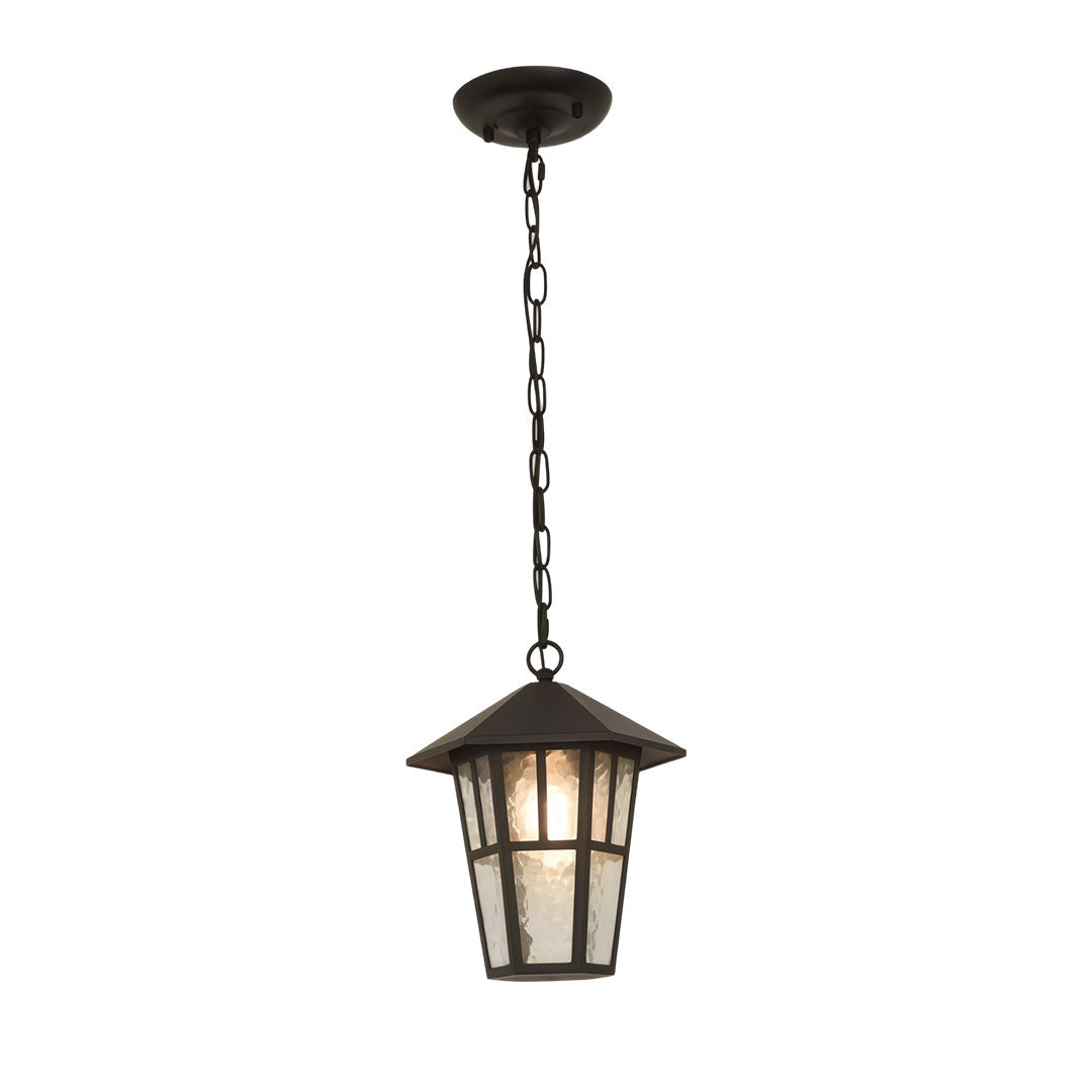 Minimalist Outdoor Pendant Light in Black Aluminum and Clear Glass