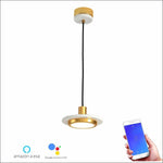 Lighting Ceiling Lights Pendant Lighting_4Oa63