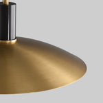 Vintage Brass Glass Pendant Light with Adjustable Cord for Modern Interiors
