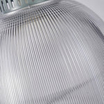 Aurelia Industrial Pendant Light in Gray Aluminum with Clear Shade