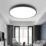 Lighting Ceiling Lights Flush Mount Lighting_49G6K