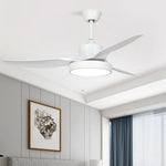 Lighting Ceiling Lights Ceiling Fans_4Huqc