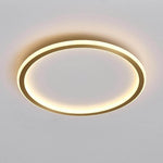 Lumina Circle LED Flush Mount Ceiling Light in Brushed Brass