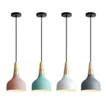 Lighting Ceiling Lights Pendant Lighting_4Pycn