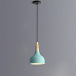 Lighting Ceiling Lights Pendant Lighting_4Pycn