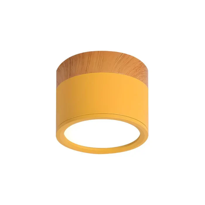 Nordic Simple Cylinder Led Ceiling Light