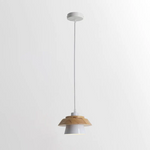 Chic Wood Pendant Lamp