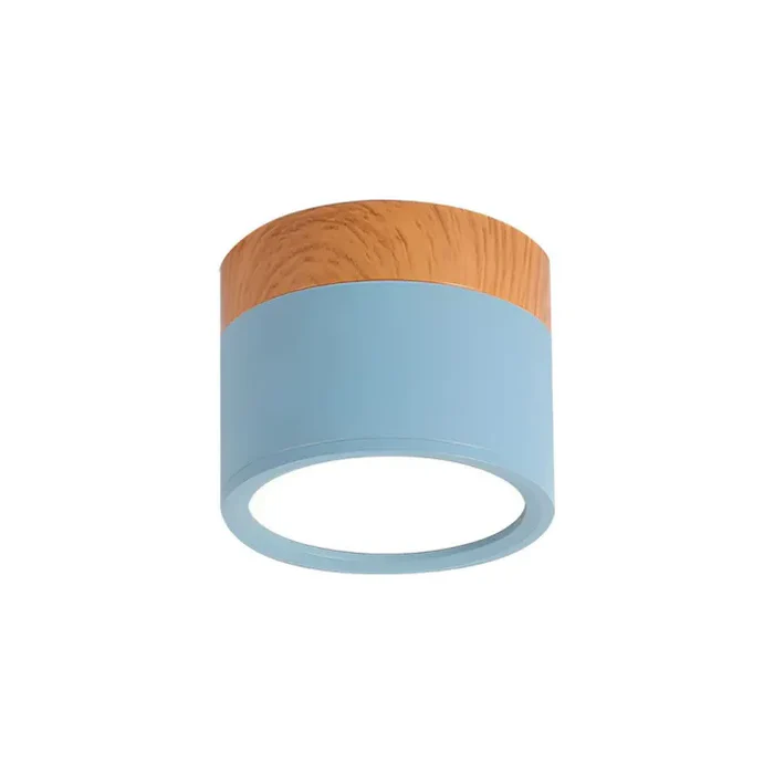 Nordic Simple Cylinder Led Ceiling Light